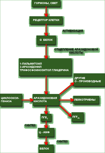 ������� 1. ����� �������� ������� �� ��������� � ������� �����.